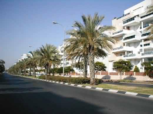 ashdod