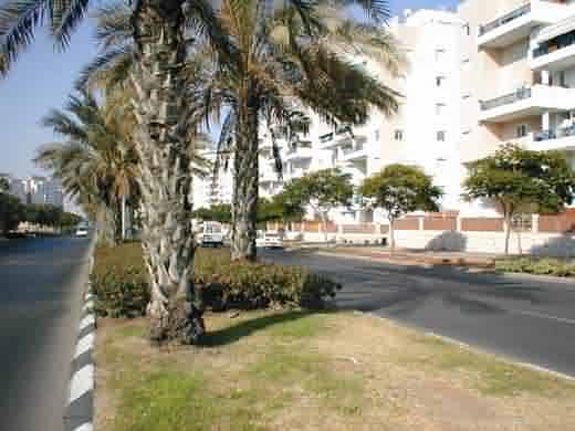 ashdod