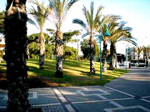 ashdod