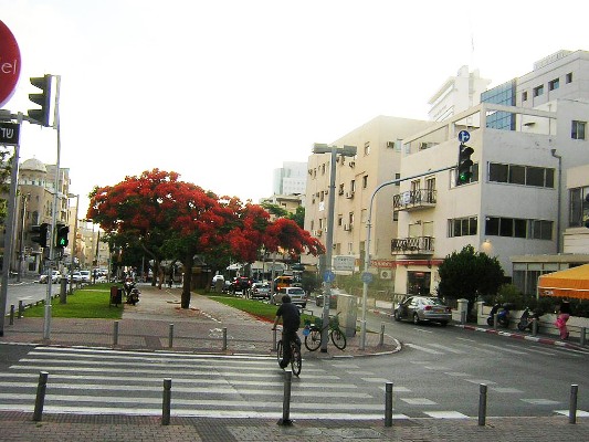 Тель-Авив. Бульвар Ротшильда